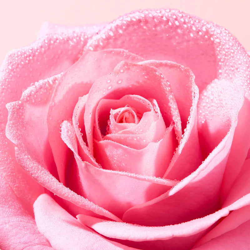 Nuxe Very Rose Agua Micelar Calmante 3 en 1 100 ml