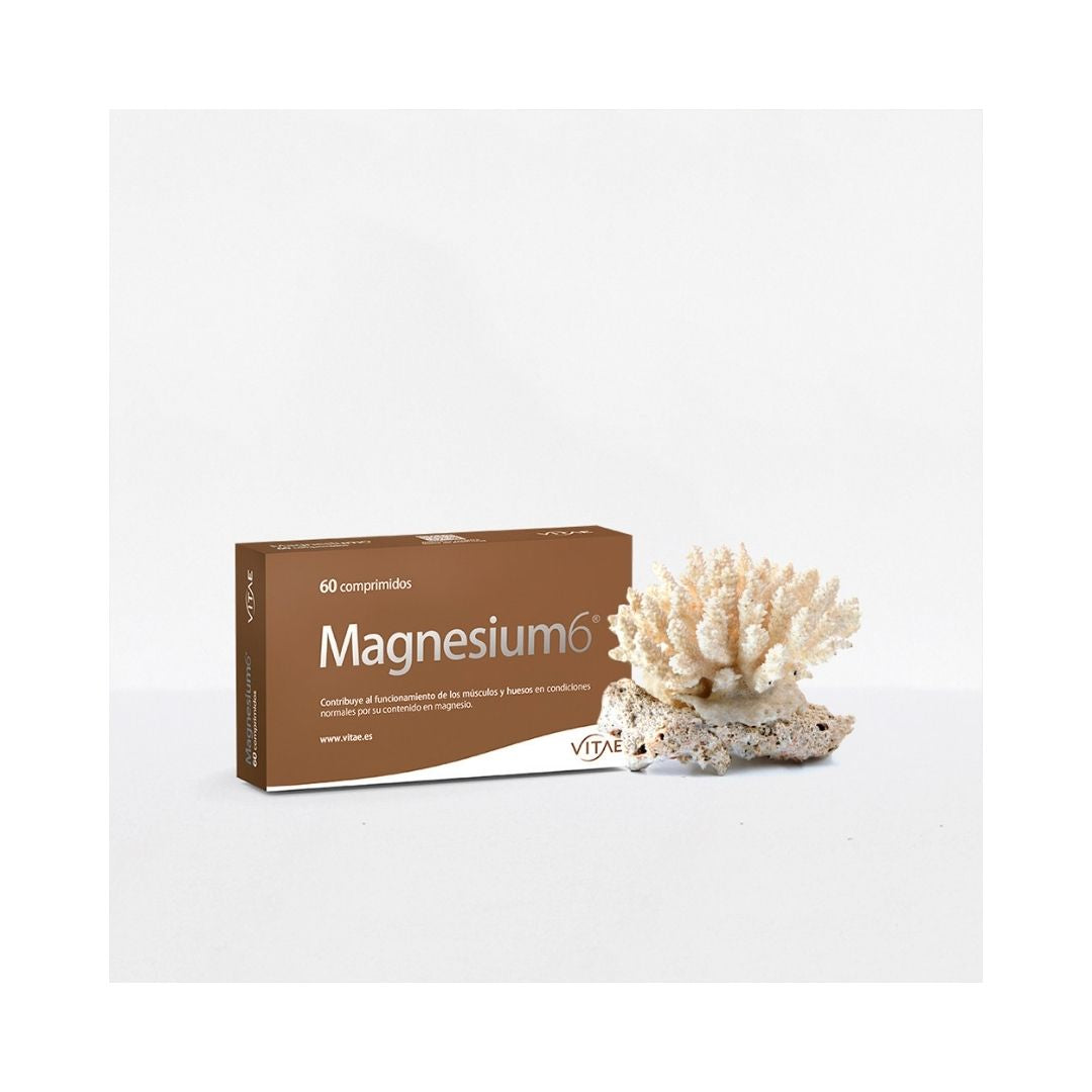 Magnesium 6 20 Comprimidos