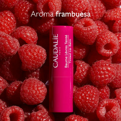 Caudalie Stick de Labios con Color 4,5 g