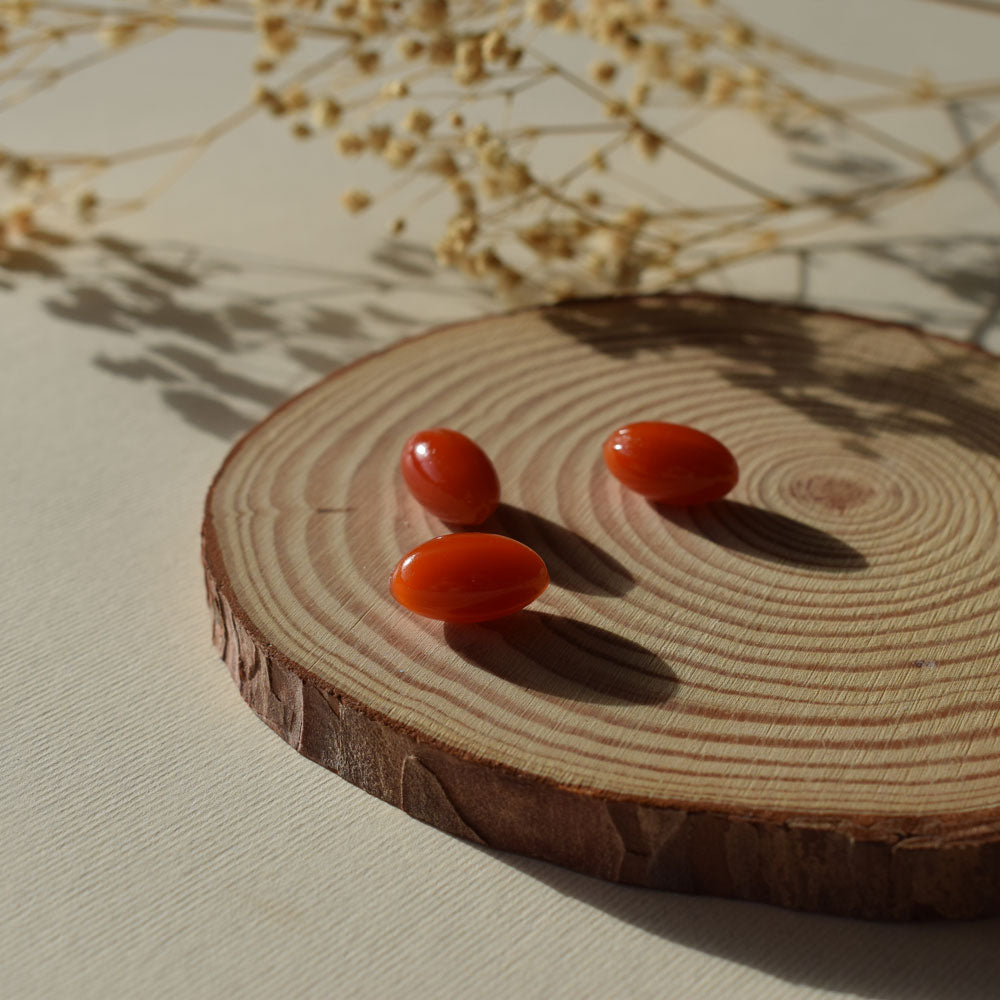 Vitae Oliovita Gastro 60 cápsulas