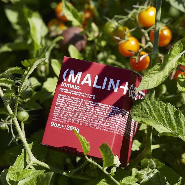 MALIN+GOETZ Vela Perfumada Tomato 260 g