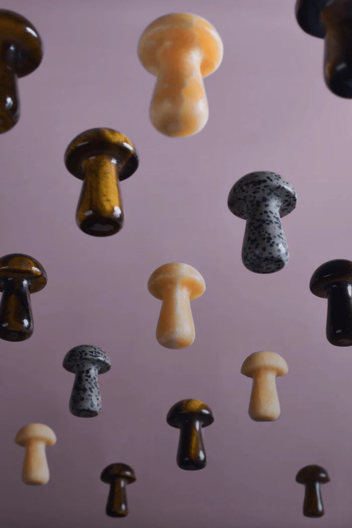 Herbar Gua Shroom L Dalmatian