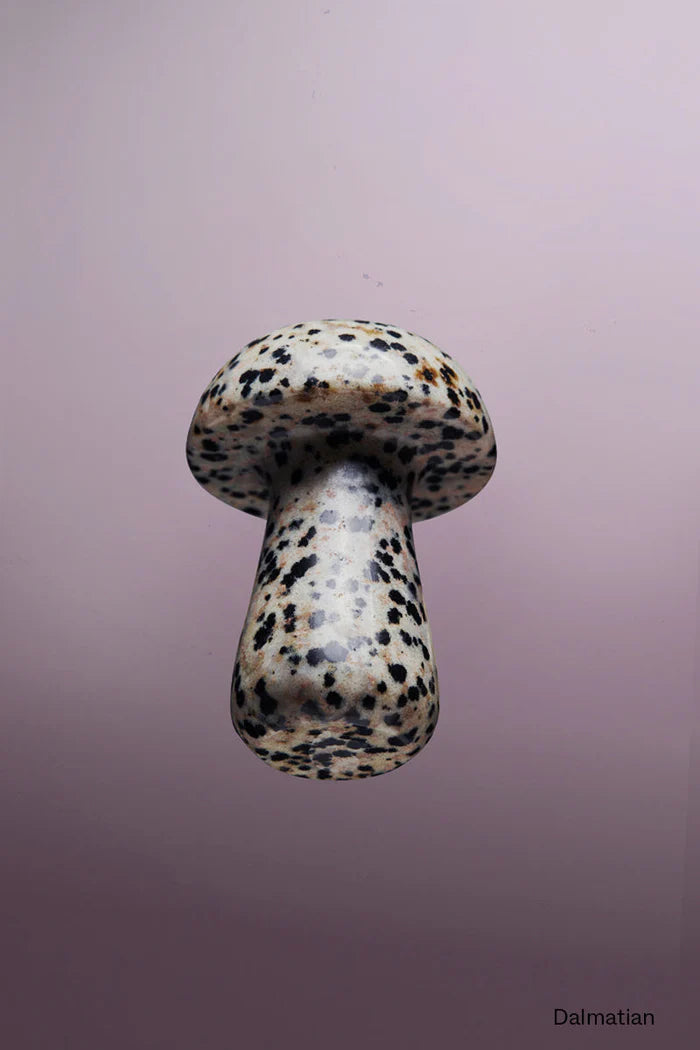 Herbar Gua Shroom L Dalmatian