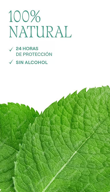 Weleda Desodorante Stick Eucalipto - Menta 50 G