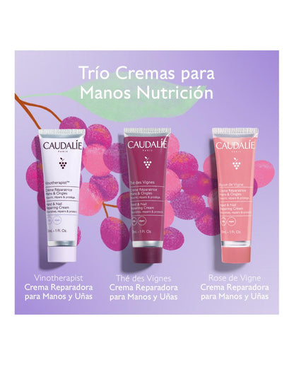 Cofre Caudalie Trio Crema Manos